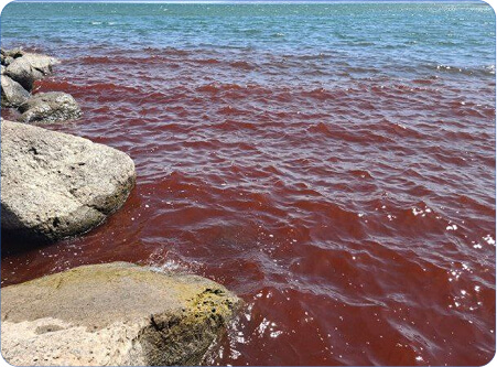 Rectangle 13 (5) (1)