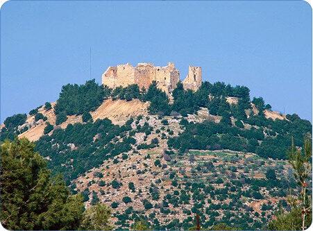 Rectangle 14 (4) (1)