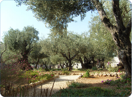 Rectangle 14 (5) (1)