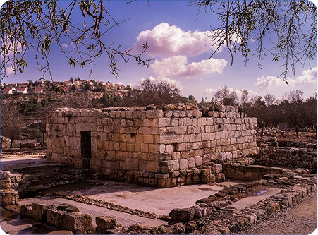 Rectangle 15 (1) (1)