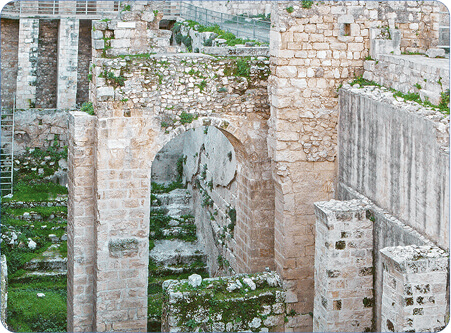 Rectangle 15 (3) (1)